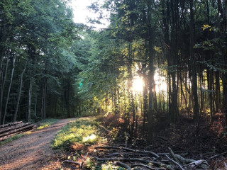 Mont&eacute;e 2018
