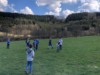 Emweltsortie Beaver 2019